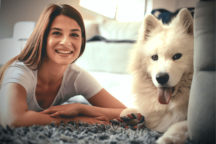 best dog boarding near me