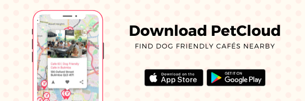 This image has an empty alt attribute; its file name is Dog-Friendly-Cafes-Banner.png