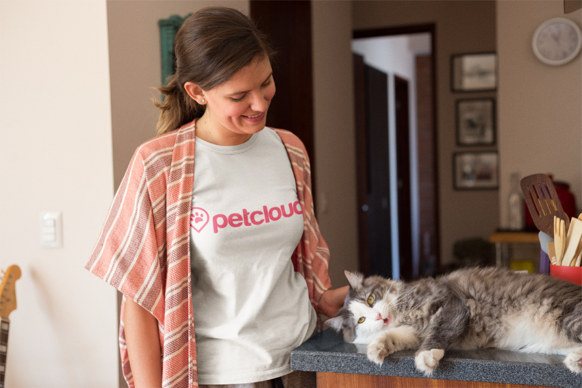 pet sitter near me, melbourne cat sitter, cat sitter near me, petcloud cat sitter, canberra cat sitter, cat sitter jobs, house sitter near me