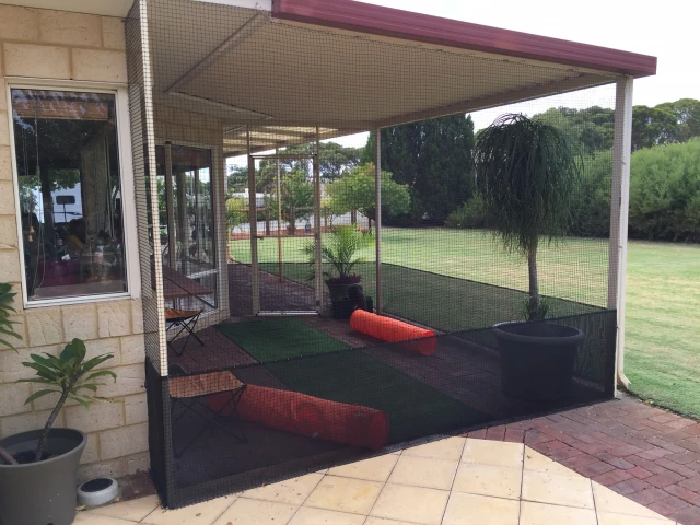 cat sitter near me, cat enclosure, pet sitter near me