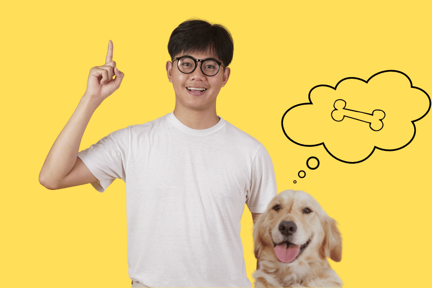 7 Money-Saving Hacks Every Aussie Pet Parent Needs to Know