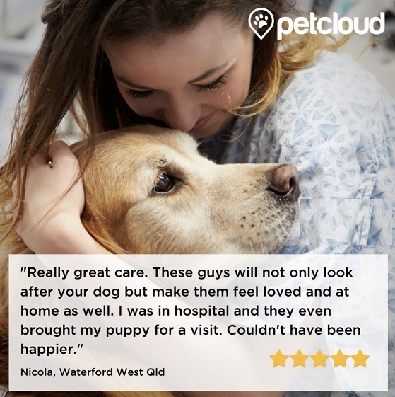 A woman hugs a golden retriever, both looking content. A testimonial overlay praises the Emergency Pet Boarding NDIS service for their loving support and a five-star rating is shown. The PetCloud logo appears in the top right corner.