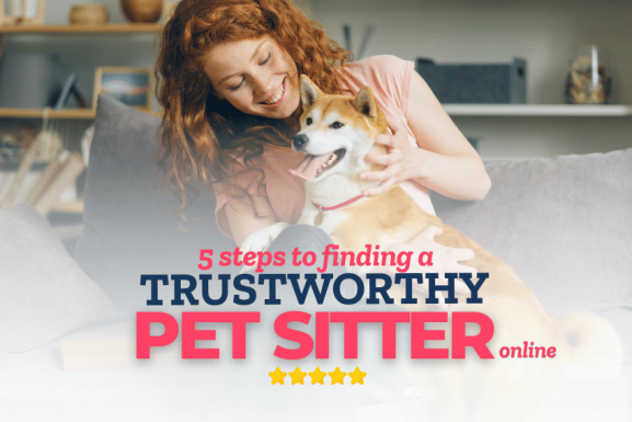 A smiling woman sits on a couch, petting a happy Shiba Inu. Overlaid text reads: "5 steps to finding a trusted pet sitter online," with five yellow stars shining below the text.