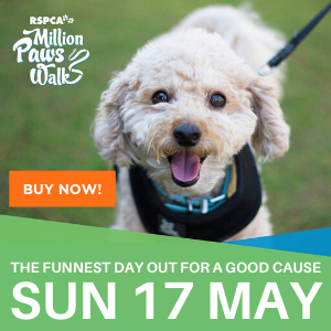 Make money playing with pets PetCloud