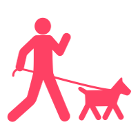 Dog Walking
