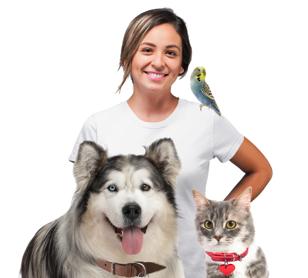 Pet carer with pets
