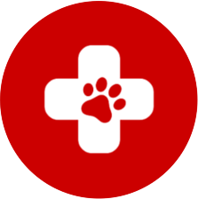 First Aid Badge