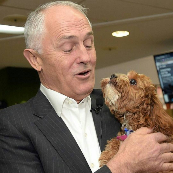 Malcolm Turnbull holding Milly
