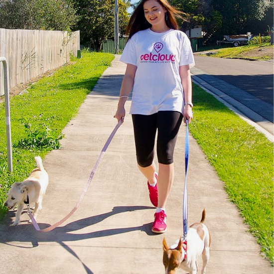 Beautiful young Dog Walker with dogs