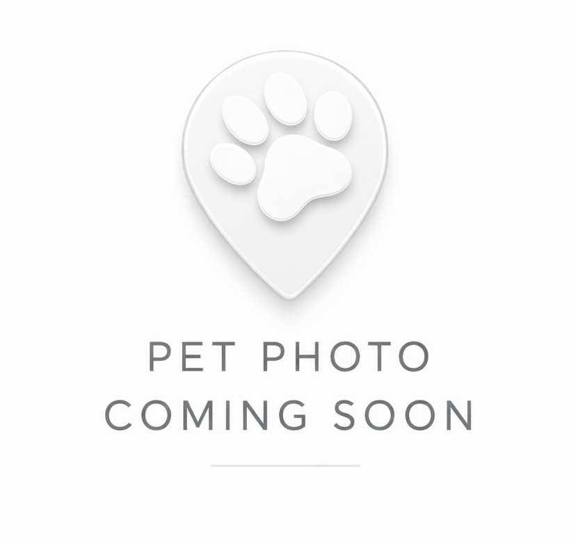 Past pet care client of Rosanna in Kalgan, WA