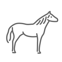 This PetCloud sitter looks after horses